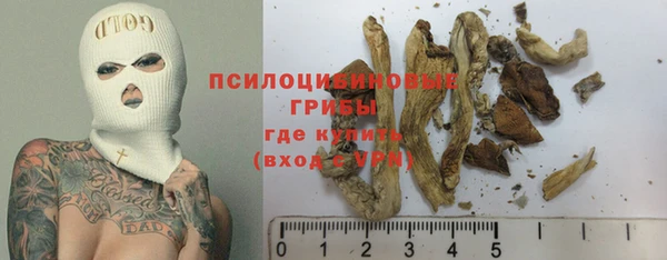 соль ск Навашино