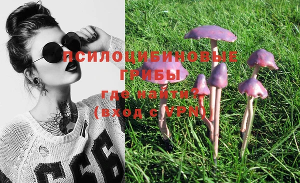 таблы Нефтегорск